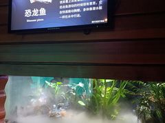 -太平洋海底世界