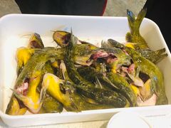 -胖师鱼馆非遗砂锅雅鱼(大北街店)