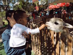 -萌宠亲子动物乐园(槐房万达店)