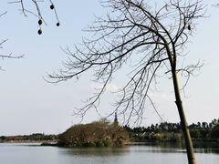-海珠湖公园