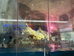 -帝企鹅自助餐厅•儿童岛•真企鹅(长隆企鹅酒店)