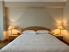 -南京维景国际大酒店(南京博物院店)