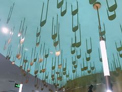 -青花椒花椒鱼(合生汇店)