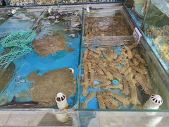 -87号烧烤海鲜·大排档(金沙滩店)