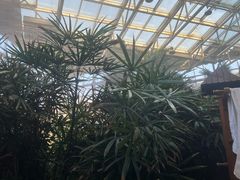 -仁爱团泊湖温泉中心