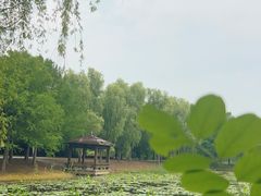-同里国家湿地公园