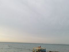 -秦皇国际大酒店·自助餐