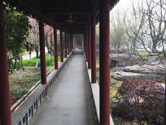 -八大山人梅湖景区