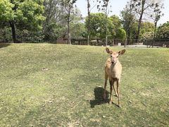 -常州淹城野生动物世界