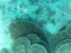 -蓝湾海滩