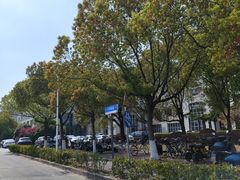 -上海交通大学(闵行校区)