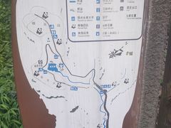 -都江堰中华大熊猫苑