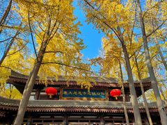 -大慈恩寺(大雁塔)