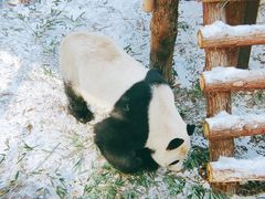 -红山森林动物园