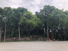 -峨眉山报国寺