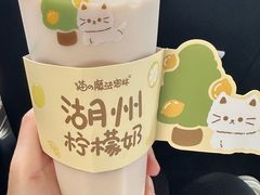 -猫的魔法密林(衣裳街店)