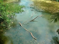 -洋湖国家湿地公园