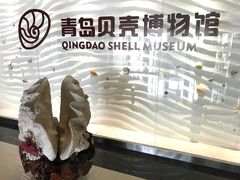 -青岛贝壳博物馆