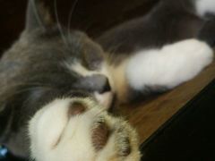 -MIKAKU(万达广场上海宝山店)