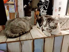 -小时光咖啡馆(开森度假森林店)