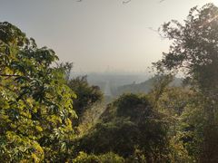 -火炉山森林公园