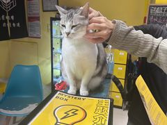 -谜盒子奇幻密室(南屏店)