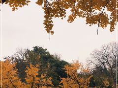-赭山公园