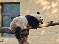 -石家庄市动物园