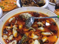 -辣四方新派川菜