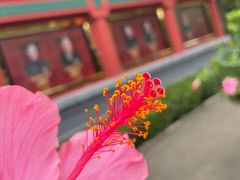 -北京市劳动人民文化宫(太庙)