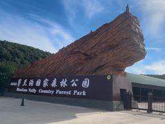 -茅兰沟国家森林公园