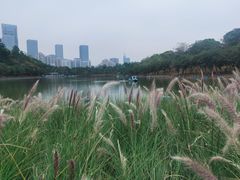 -莲花山公园