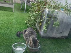 -UNI UNI(环亚凯瑟琳店)