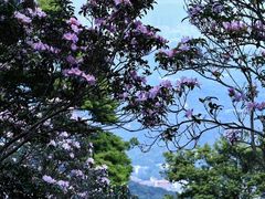 -梧桐山风景名胜区