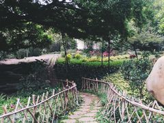 -晓港公园