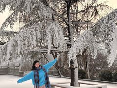 -沂蒙山旅游区云蒙景区(蒙山国家森林公园)