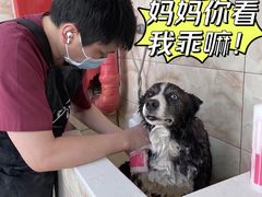 -北京恒爱动物医院(清景园分院)