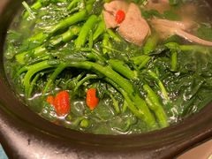 原汁原味西洋菜-煲煲好(朝阳门店)