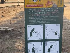 -奈良公园