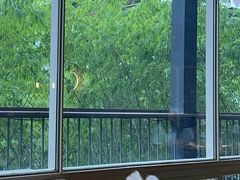 -生如夏花泰式火锅(西村黑金店)