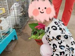 -前小桔亲子创意农场·草莓采摘·露营烧烤