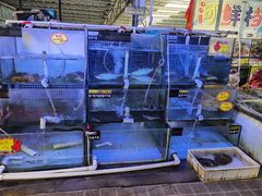 -八仔大富楼·河鲜(西江店)