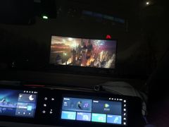 -枫花园汽车电影院(朝阳公园店)