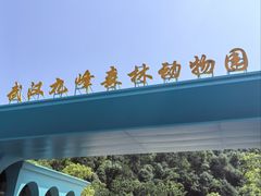 -深圳野生动物园
