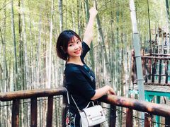 -陶祖圣境风景区