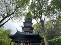 -上海佘山国家森林公园西佘山园