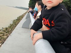 -大湾区中央湿地公园