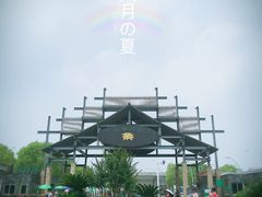 -荷塘月色湿地公园·向阳花洲
