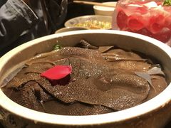 精品鲜毛肚-小龙坎火锅(双林店)