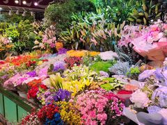 -朝来春花卉市场